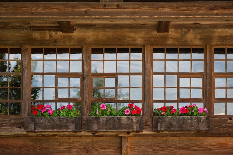 Windows and Petunias, Black Forest Open Air Museum, Gutach im Schwarzwald, Germany | Black Forest Open Air Museum - Gutach im Schwarzwald, Germany (IMG_5693.jpg)