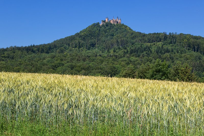 Hohenzollern Castle and a Field of Wheat, Hechingen, Germany | Hohenzollern Castle - Hechingen, Germany (IMG_7323.jpg)