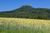 Hohenzollern Castle and a Field of Wheat, Hechingen, Germany