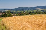 Field of Wheat near Hohenzollern Castle, Hechingen, Germany