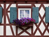 Window and Petunias, Sasbachwalden, Germany