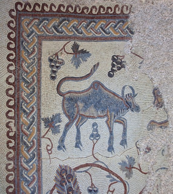Mount Nebo – Mosaic floor from the church | Jordan - Madaba, Mount Nebo and Umm al Rassas (IMG_7556.jpg)