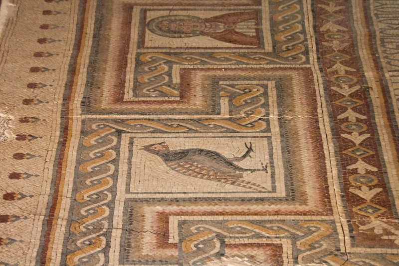 Mount Nebo – Mosaic floor from the church | Jordan - Madaba, Mount Nebo and Umm al Rassas (IMG_7570.jpg)