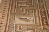 Mount Nebo – Mosaic floor from the church