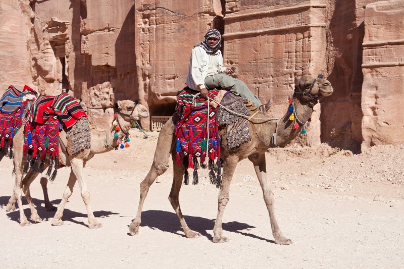Camels in the Street of Facades | Jordan - Petra (IMG_7877.jpg)
