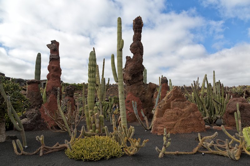 Jardín de Cactus, Guatiza, Lanzarote | Cactus Garden (Jardín de Cactus), Guatiza, Lanzarote (IMG_3489.jpg)