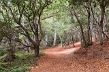 Mission Trail Nature Preserve, Carmel-by-the-Sea, California