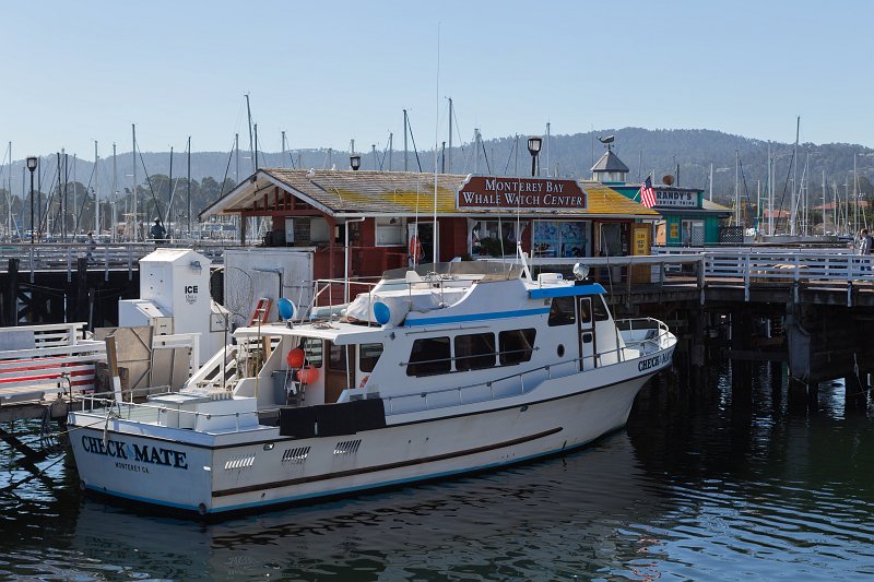 Monterey Bay Whale Watch, Old Fisherman's Wharf, Monterey, California | Monterey Downtown, California (IMG_3971.jpg)