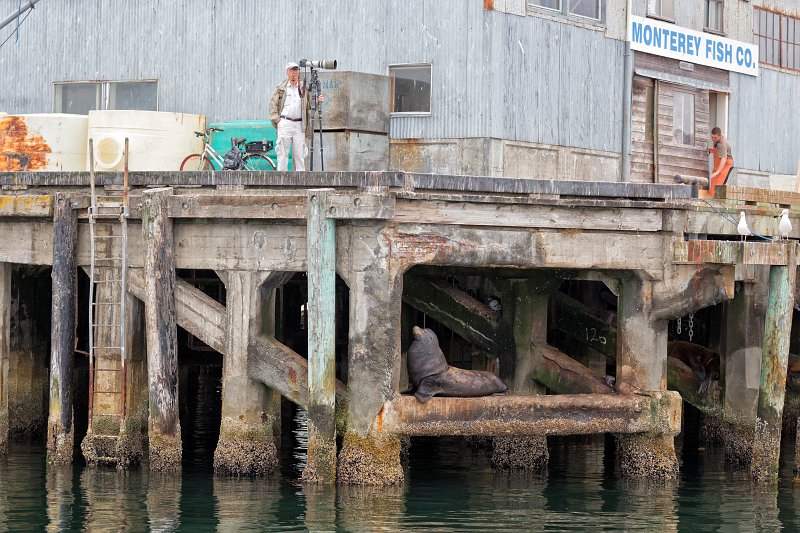 Fisherman's Wharf (Municipal Wharf #2), Monterey, California | Monterey Downtown, California (IMG_5444.jpg)