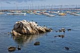 Monterey Harbor, Monterey, California