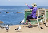 Woman feeding birds, Pacific Grove, California