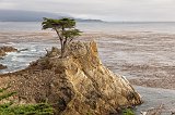 The Lone Cypress, Pebble Beach, California