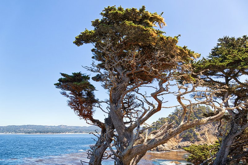 North Point, Point Lobos, California | Point Lobos Natural Reserve, California (IMG_3682.jpg)