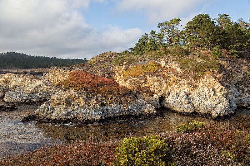 China Cove, Point Lobos, California | Point Lobos Natural Reserve, California (IMG_3846.jpg)