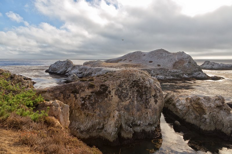 Point Lobos Natural Reserve, California Bird Island, Point Lobos, California Yair Karelic