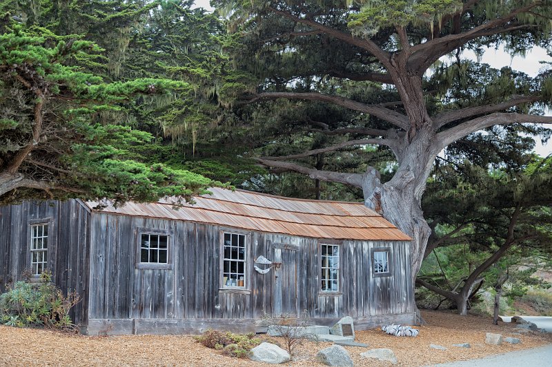 The Whaler's Cabin, Point Lobos, California | Point Lobos Natural Reserve, California (IMG_4920.jpg)