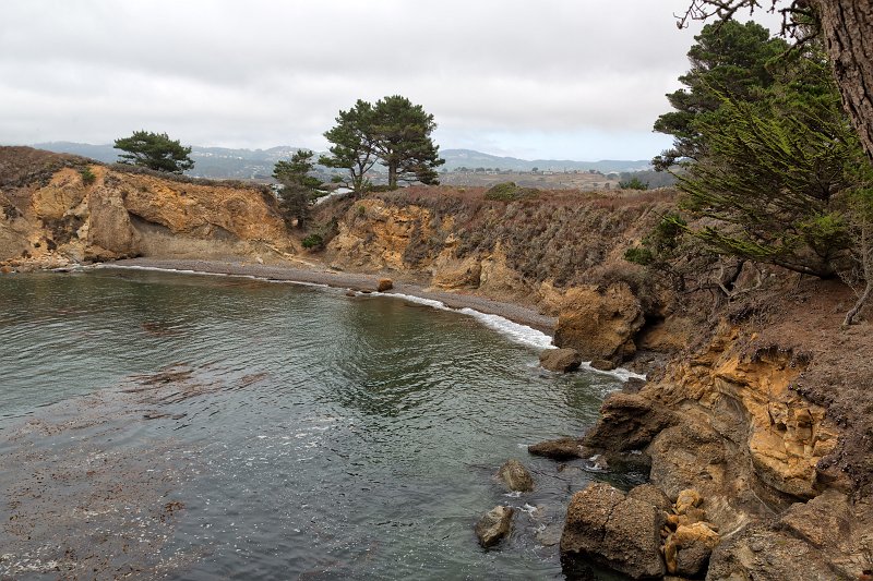 The Pit, Point Lobos, California | Point Lobos Natural Reserve, California (IMG_6505.jpg)