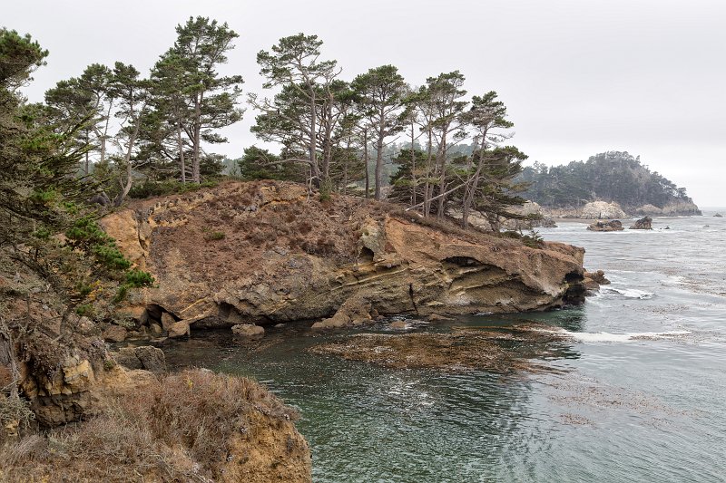 Coal Chute Point, Point Lobos, California | Point Lobos Natural Reserve, California (IMG_6511.jpg)