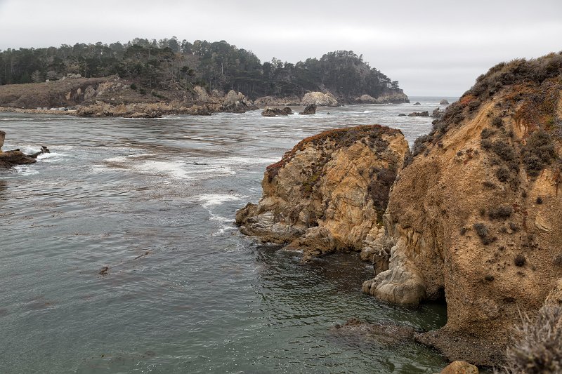 Granite Point Trail, Point Lobos, California | Point Lobos Natural Reserve, California (IMG_6527.jpg)