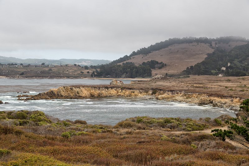 Moss Cove, Granite Point Trail, Point Lobos, California | Point Lobos Natural Reserve, California (IMG_6531.jpg)