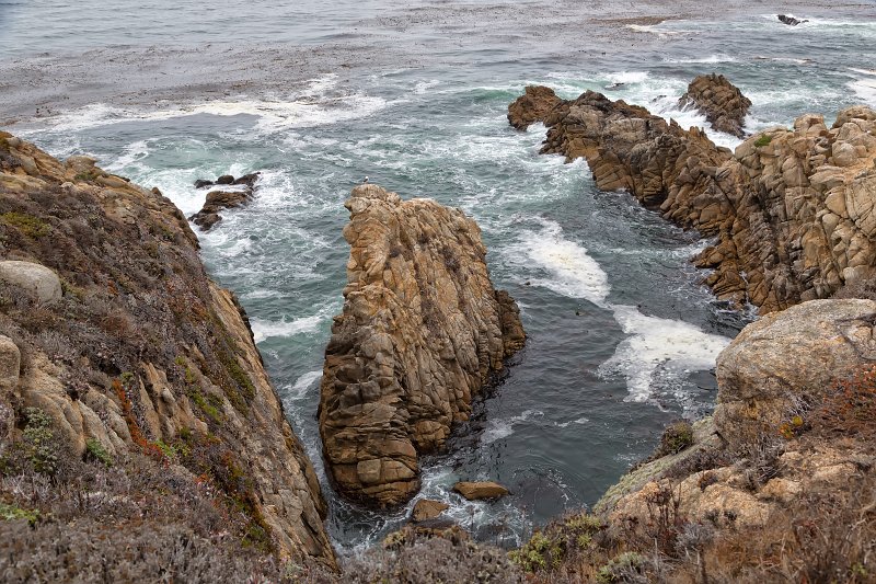 Granite Point, Point Lobos, California | Point Lobos Natural Reserve, California (IMG_6551.jpg)
