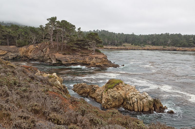 Coal Chute Point and Whalers Cove, Point Lobos, California | Point Lobos Natural Reserve, California (IMG_6554.jpg)