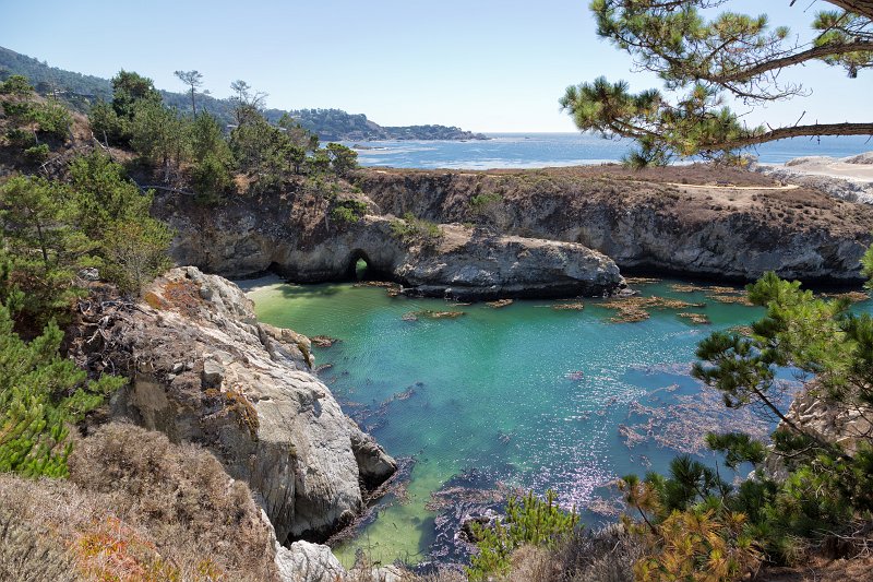 China Cove, Point Lobos, California | Point Lobos Natural Reserve, California (IMG_6750.jpg)