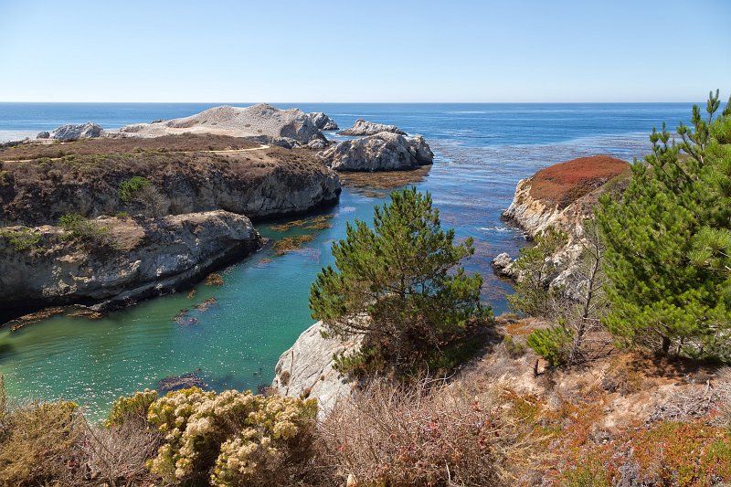China Cove, Point Lobos, California | Point Lobos Natural Reserve, California (IMG_6752.jpg)