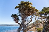 North Point, Point Lobos, California