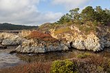 China Cove, Point Lobos, California