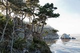 North Shore Trail, Point Lobos, California