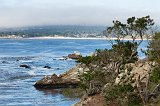 North Shore Trail, Point Lobos, California