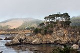 Bluefish Cove, Point Lobos, California