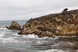 Granite Point Trail, Point Lobos, California