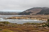 Moss Cove, Granite Point Trail, Point Lobos, California