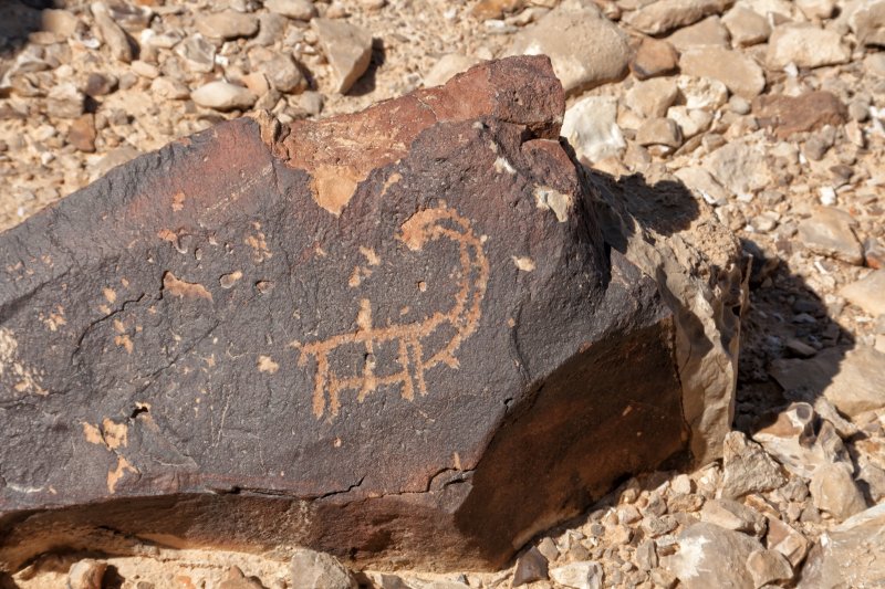 Mount Karkom - Petroglyph of ibex | Mount Karkom (IMG_5079.jpg)