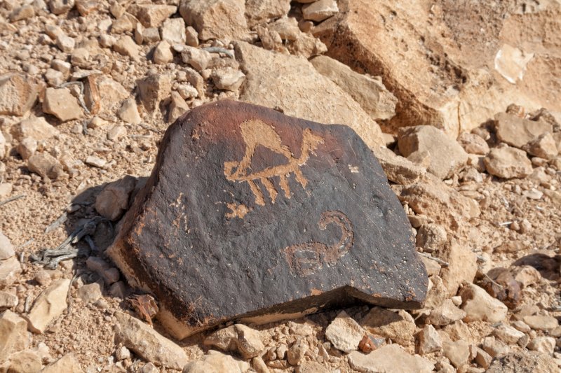 Mount Karkom - Petroglyphs of a camel and an ibex | Mount Karkom (IMG_5103.jpg)
