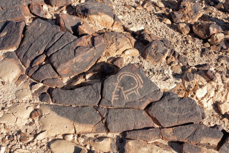 Mount Karkom - Petroglyph of an Ibex | Mount Karkom (IMG_5138.jpg)