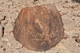 Mount Karkom - petroglyphs
