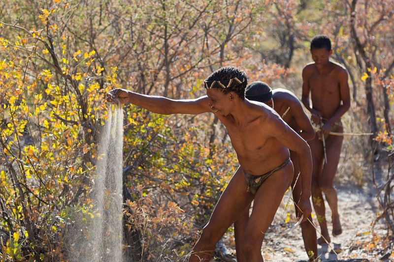Bushmen Checking Wind Direction Before Hunt | Bushmen People - Grootfontein, Namibia (IMG_5647.jpg)