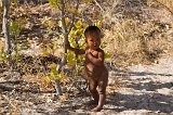 Bushmen Baby
