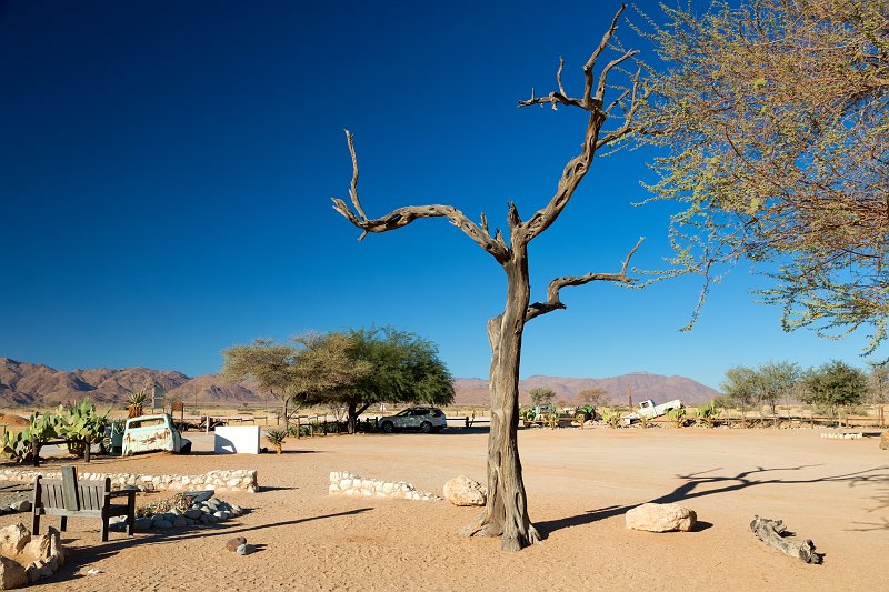 Dead Tree and Dead Cars, Solitaire, Namibia | From Solitaire to Walvis Bay - Namibia (IMG_3449.jpg)