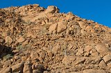 Moringa Ovalifolia Trees on Boulders near Namib Naukluft Lodge, Solitaire, Namibia