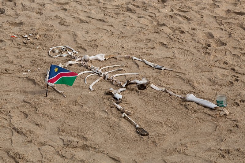 Skeleton Coast, Namibia | Cape Cross - Namibia (IMG_3972.jpg)