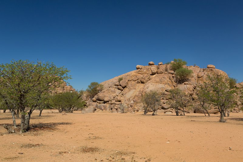 Mopane Trees and Granite Rocks along Road C35, Namibia | Damaraland and Kaokoland - Namibia (IMG_4059.jpg)