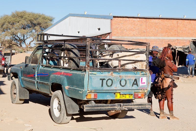 Himba Woman and Truck Carrying a Sheep, Opuwo, Namibia | Damaraland and Kaokoland - Namibia (IMG_4237.jpg)