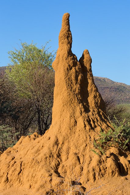 Termite Mound, Erindi Private Game Reserve, Omaruru, Namibia | Erindi Private Game Reserve - Omaruru, Namibia (IMG_6082.jpg)