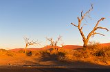 Dead Trees at Sunrise, Sossusvlei, Namib-Naukluft National Park, Namibia