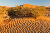 Patterns in the Sand, Sossusvlei, Namib-Naukluft National Park, Namibia