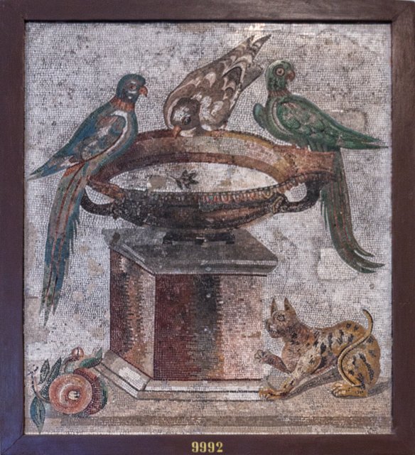 Mosaic with Drinking Birds | Naples National Archaeological Museum (IMG_1646.jpg)